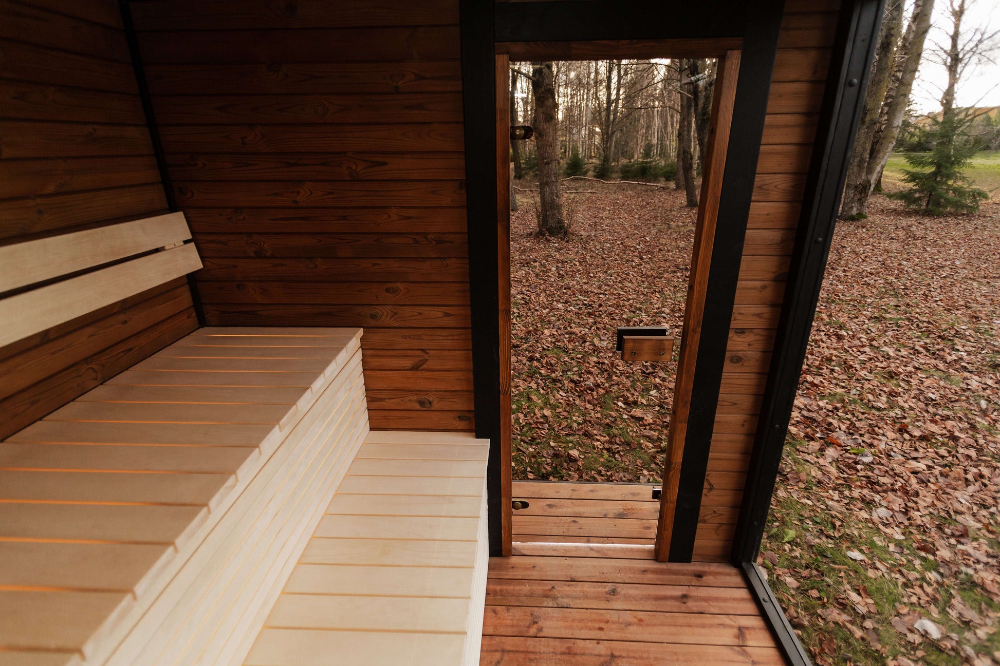 Shop Modul Sauna: Premium Thermowood for 6 Free Shipping